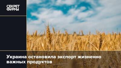Украина остановила экспорт жизненно важных продуктов