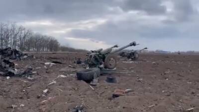 ВСУ разгромили позиции российских артиллеристов под Николаевом: видео