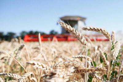 Европа рискует лишиться урожая без российских удобрений