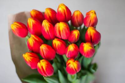 Когда покупать цветы на 8 Марта: с вечера, ночью или утром. Как заказать букет онлайн. Какие цветы выбрать - pravda-tv.ru