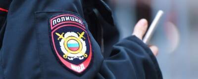 Полиция Перми задержала на несанкционированных акциях более 20 человек