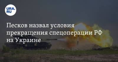 Песков назвал условия прекращения спецоперации РФ на Украине