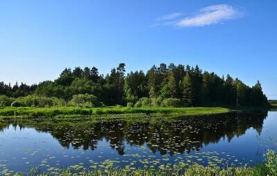 В правительстве Тверской области утвердили особо охраняемые природные территории