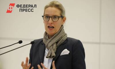 Западные политики критически оценивают ситуацию на Украине
