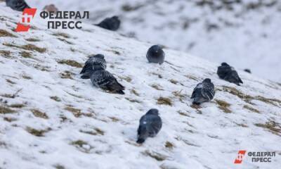 В Челябинской области похолодает до –36 градусов