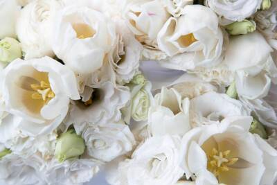 Как сохранить живые цветы в вазе — 3 совета для свежих роз и тюльпанов