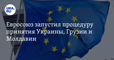 Евросоюз запустил процедуру принятия Украины, Грузии и Молдавии