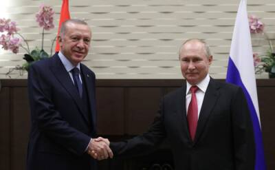 СМИ: Эрдоган считает возможным использование рубля в торговле с РФ