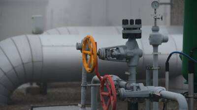Новак заявил об обеспечении Россией 40% потребления газа в Европе