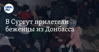 В Сургут прилетели беженцы из Донбасса. Фото
