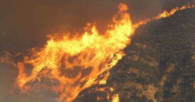 Президент Южной Кореи объявил два города особыми зонами бедствия из-за лесных пожаров