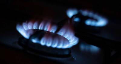 В ЕП заявили о катастрофе для ЕС при прекращении закупок газа у России
