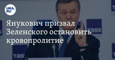 Янукович призвал Зеленского остановить кровопролитие