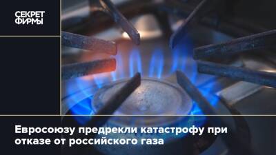 Евросоюзу предрекли катастрофу при отказе от российского газа
