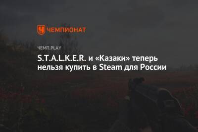 S.T.A.L.K.E.R. и «Казаки» теперь нельзя купить в Steam для России