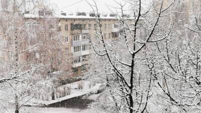 Возвращение зимы: в ночь на 8 марта в Москве выпал снег