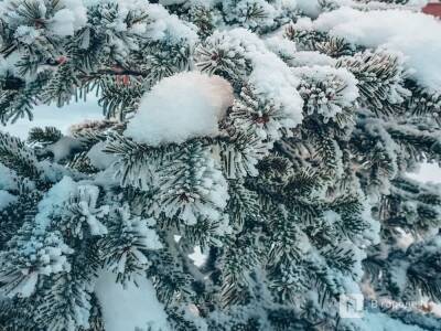 Морозы до -19°С ожидаются в Нижнем Новгороде на этой неделе