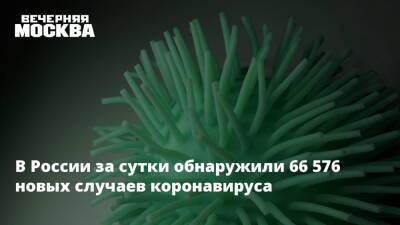 В России за сутки обнаружили 66 576 новых случаев коронавируса