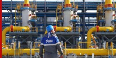 Туманян: Европа не сможет быстро заменить российский газ на другие составляющие "зелёной энергетики"