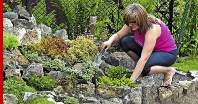 Сад камней: 5 идей использования булыжников в ландшафтном дизайне