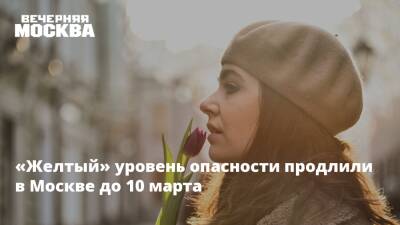 «Желтый» уровень опасности продлили в Москве до 10 марта