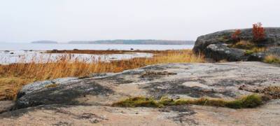 Выяснились цели застройки бесплатных «арктических гектаров» в Карелии