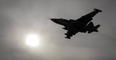 Шимоните: участившиеся полеты российских военных самолетов удивлять не должны