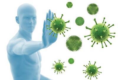 Пробиотики помогают бороться с коронавирусом