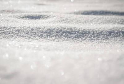 Небольшой снег ожидается в среду в Ленобласти