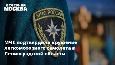 МЧС подтвердило крушение легкомоторного самолета в Ленинградской области