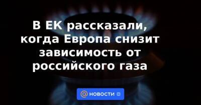 В ЕК рассказали, когда Европа снизит зависимость от российского газа
