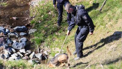 Инцидент в Северном Рейне-Вестфалии: собака нашла в ручье человеческие кости