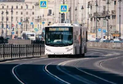 Новый автобусный маршрут запустят от Купчино до Полюстрово