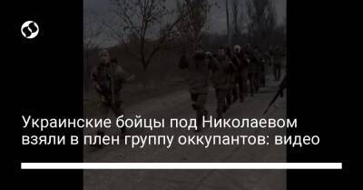 Украинские бойцы под Николаевом взяли в плен группу оккупантов: видео