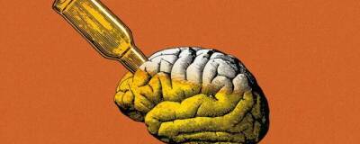 Американские учёные считают, что употребление алкоголя приводит к уменьшению объёма мозга