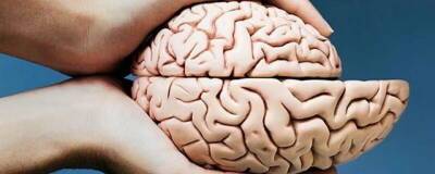 Британские учёные доказали, что перенесённый COVID-19 уменьшает объём головного мозга