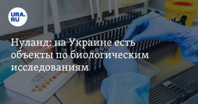 Нуланд: на Украине есть объекты по биологическим исследованиям. Существует риск их захвата