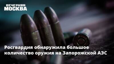 Росгвардия обнаружила большое количество оружия на Запорожской АЭС
