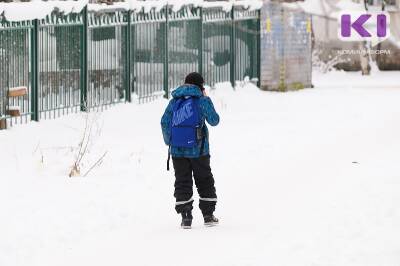 В каких районах Коми из-за морозов отменены занятия в школах