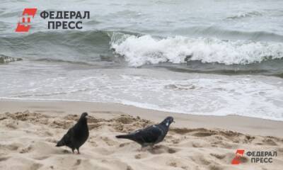 Администрация Владивостока продолжит работы по благоустройству популярного пляжа
