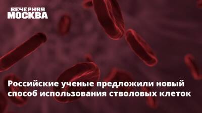 Российские ученые предложили новый способ использования стволовых клеток