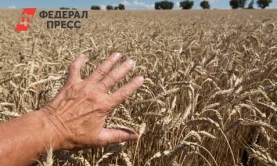 Алтайский край впервые в России введет систему мониторинга зерна