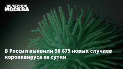 В России выявили 58 675 новых случаев коронавируса за сутки