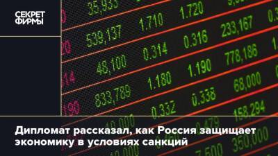 Дипломат рассказал, как Россия защищает экономику в условиях санкций