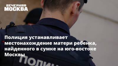 Полиция устанавливает местонахождение матери ребенка, найденного в сумке на юго-востоке Москвы