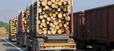 Карелия потеряет лесной экспорт в Европу