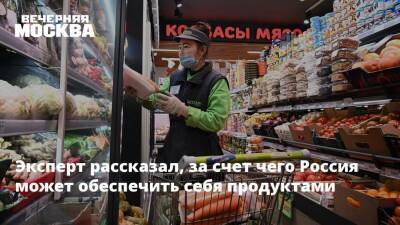 Эксперт рассказал, за счет чего Россия может обеспечить себя продуктами