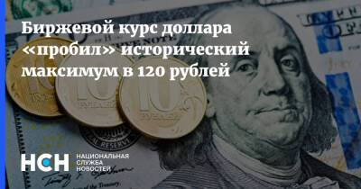 Биржевой курс доллара «пробил» исторический максимум в 120 рублей