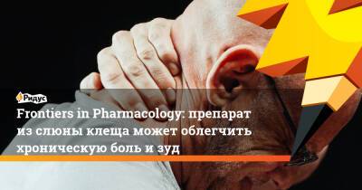Frontiers in Pharmacology: препарат из слюны клеща может облегчить хроническую боль и зуд