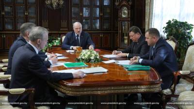 Последствия стихии: Лукашенко поручил навести порядок в лесах